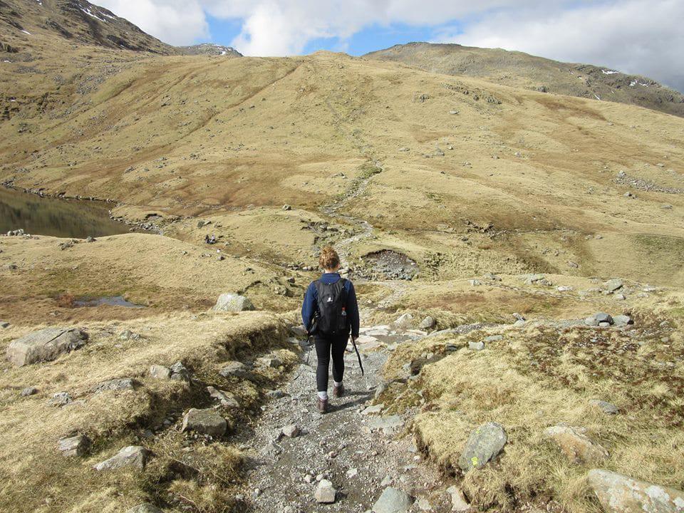 The Beginnings of an Adventure