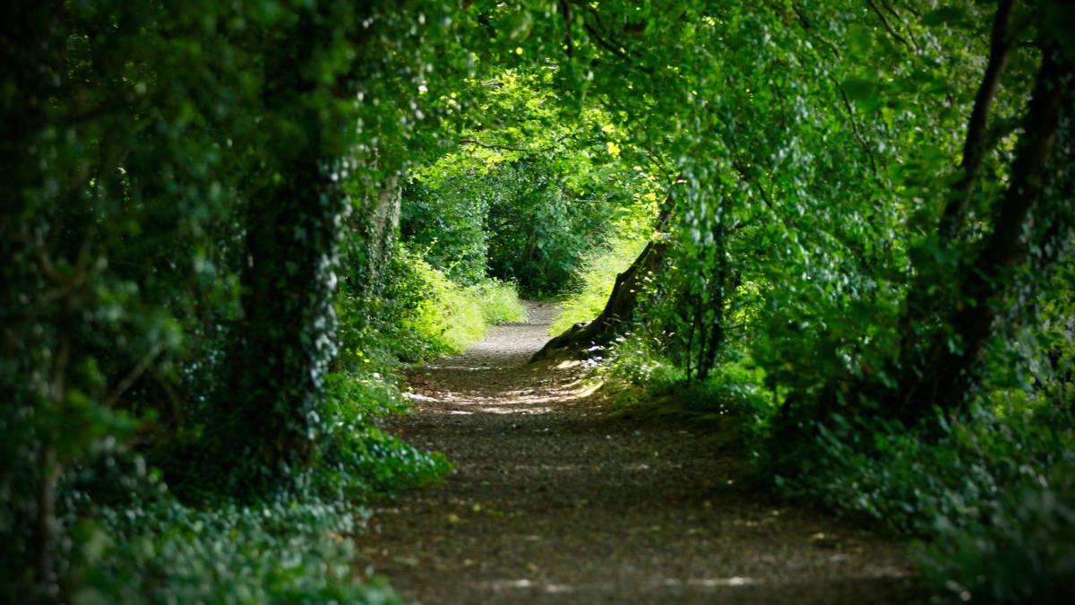 5 Things to Know Before you go Hill Running