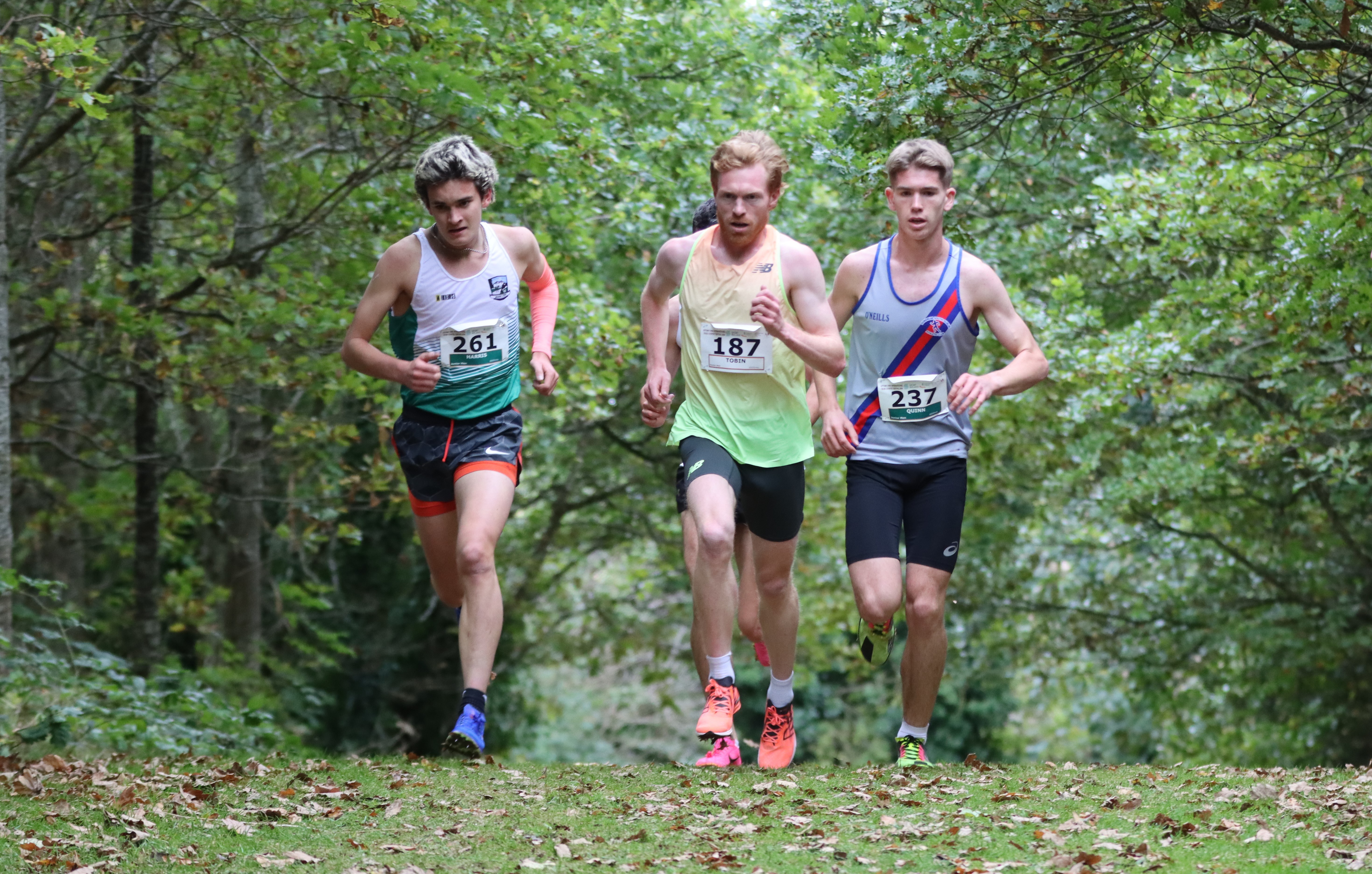 Victory for Kilrehill and Quinn in a Thrilling Autumn  Cross-Country