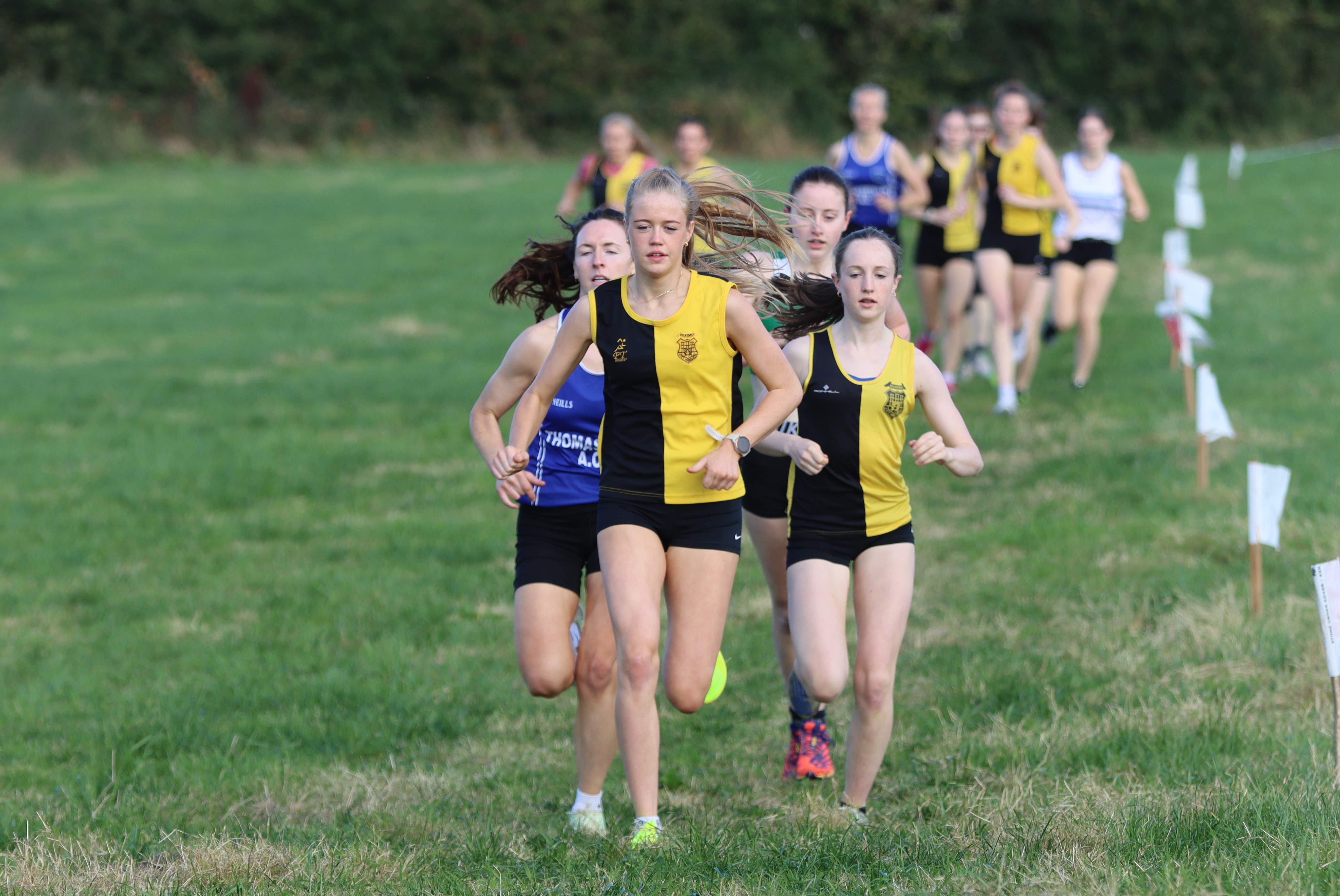 Flooded Fields to Sunny Victories: Cross Country Round Up