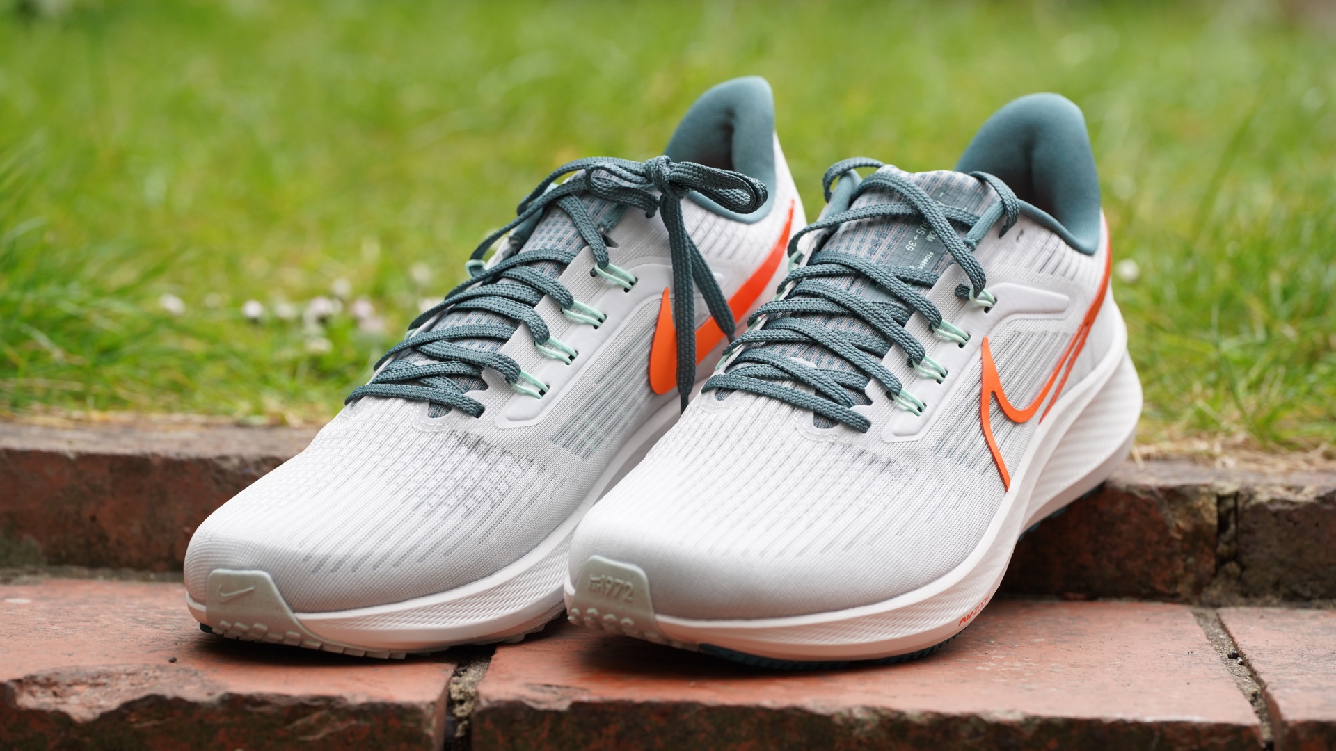 Nike Pegasus 39 Review: FAQs Answered for Running Enthusiasts