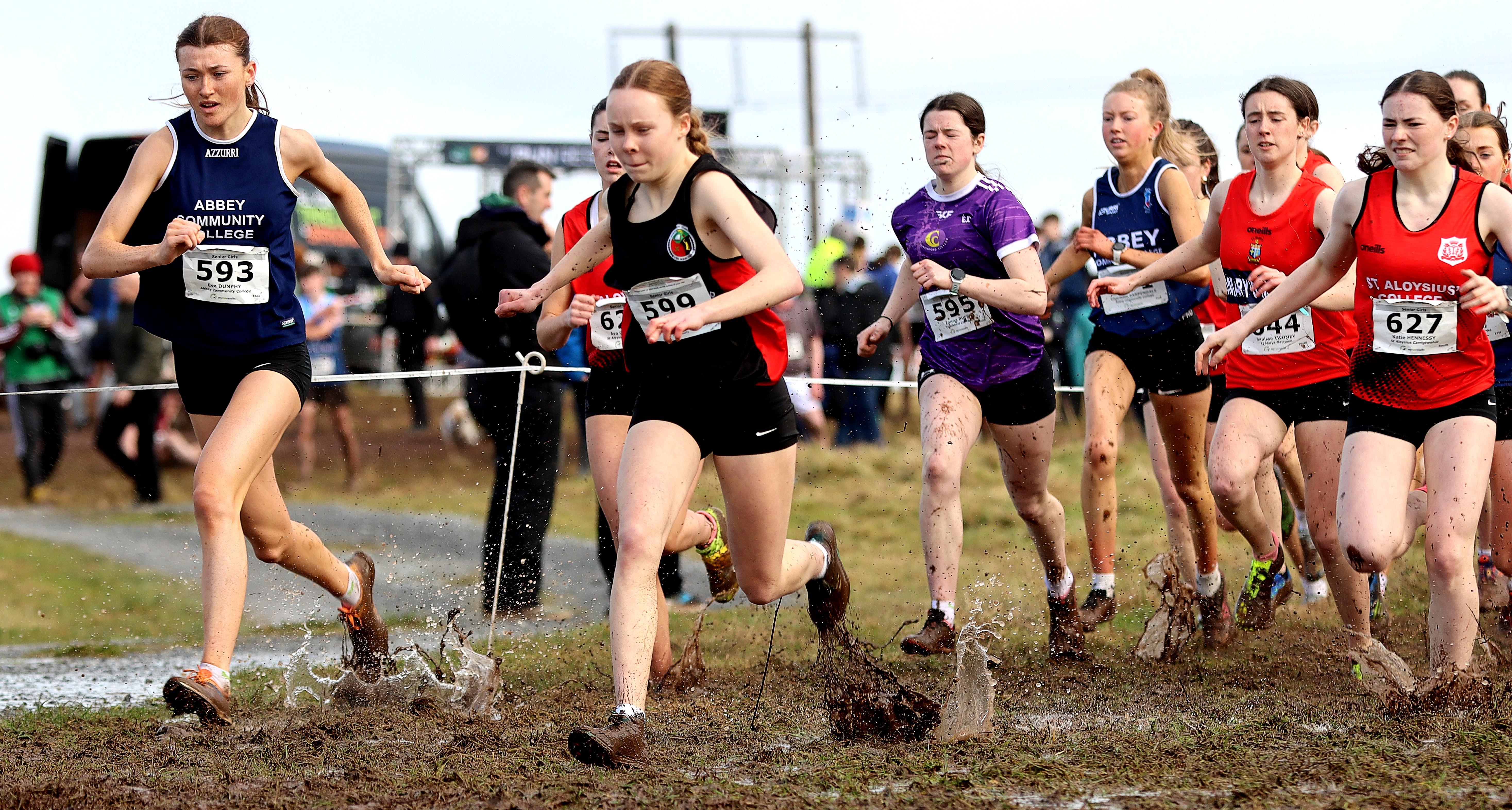 The Best of Schools Cross-Country: Who Ruled the Mud and Grass in Leinster and Munster?