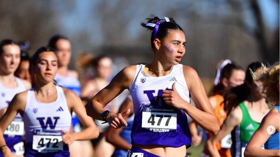 From New York to New Mexico: Irish Athletes Impress at 2024 Cross Country Conference