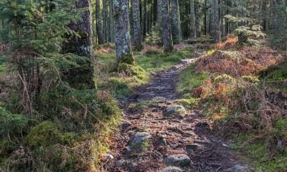 The Torc Wood IMRA Race Experience