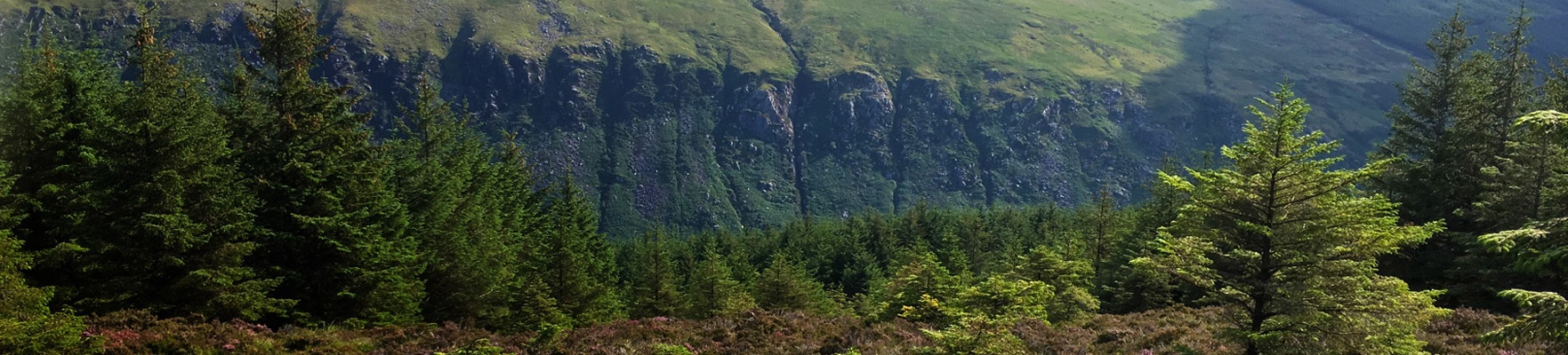 IMRA Slieve Donard 10k